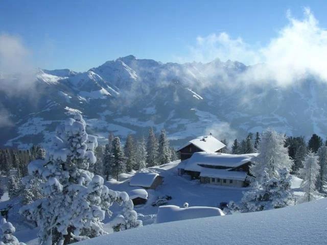 Steinerhaus Berggasthof 그뢰브밍 외부 사진