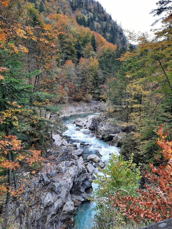 Steinerhaus Berggasthof 그뢰브밍 외부 사진