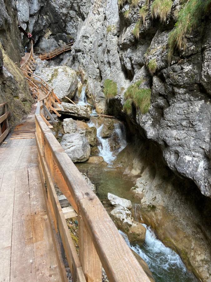 Steinerhaus Berggasthof 그뢰브밍 외부 사진